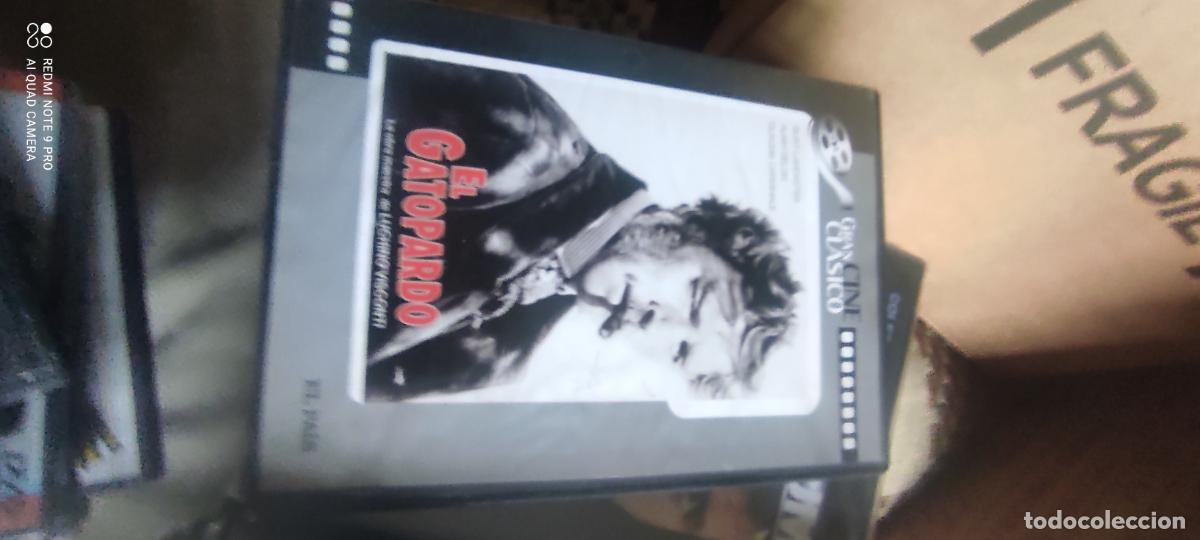 Cine: El gatopardo. Pel&iacute;cula / DVD.
