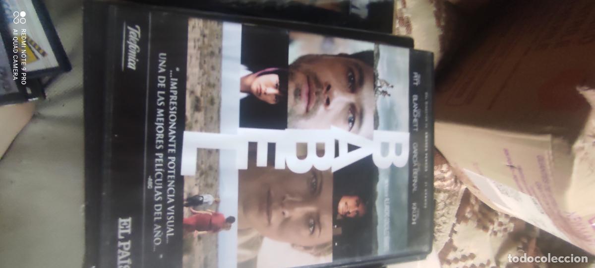 Cine: Babel. Pel&iacute;cula / DVD.