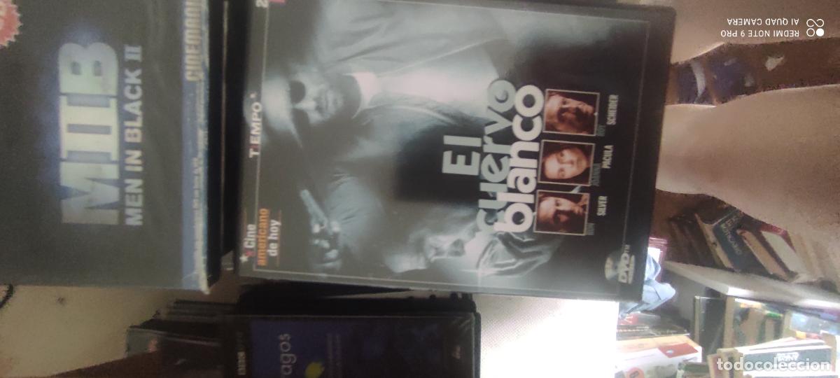Cine: El cuervo blanco. Pel&iacute;cula/ DVD.