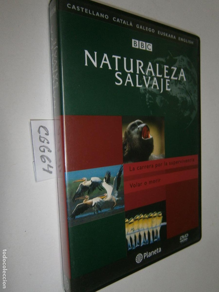 Cine: DVD DOCUMENTAL NATURALEZA SALVAJE BBC - LA CARRERA PARA LA SUPERVIVENCIA - VOLAR O MORIR