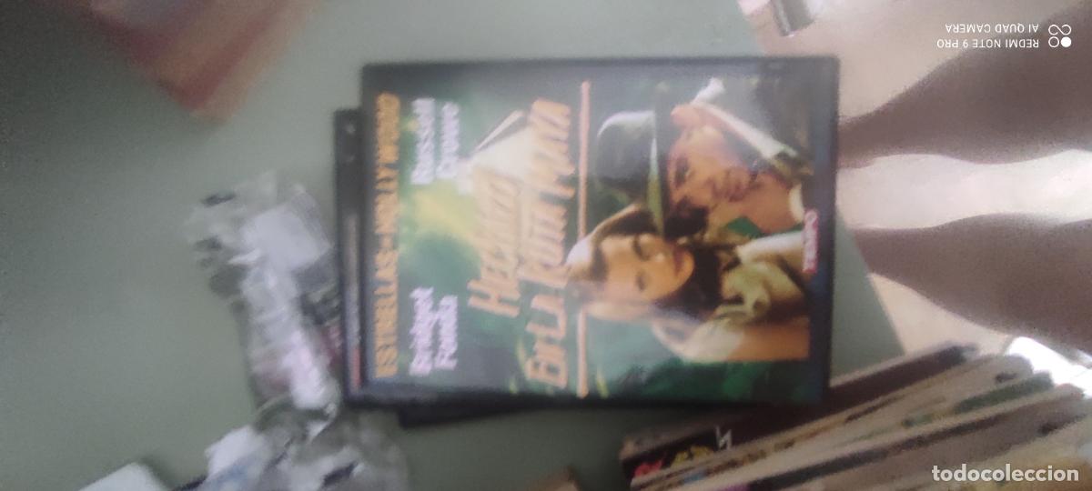 Cine: Hechizo en la ruta maya. Pel&iacute;cula/ DVD.