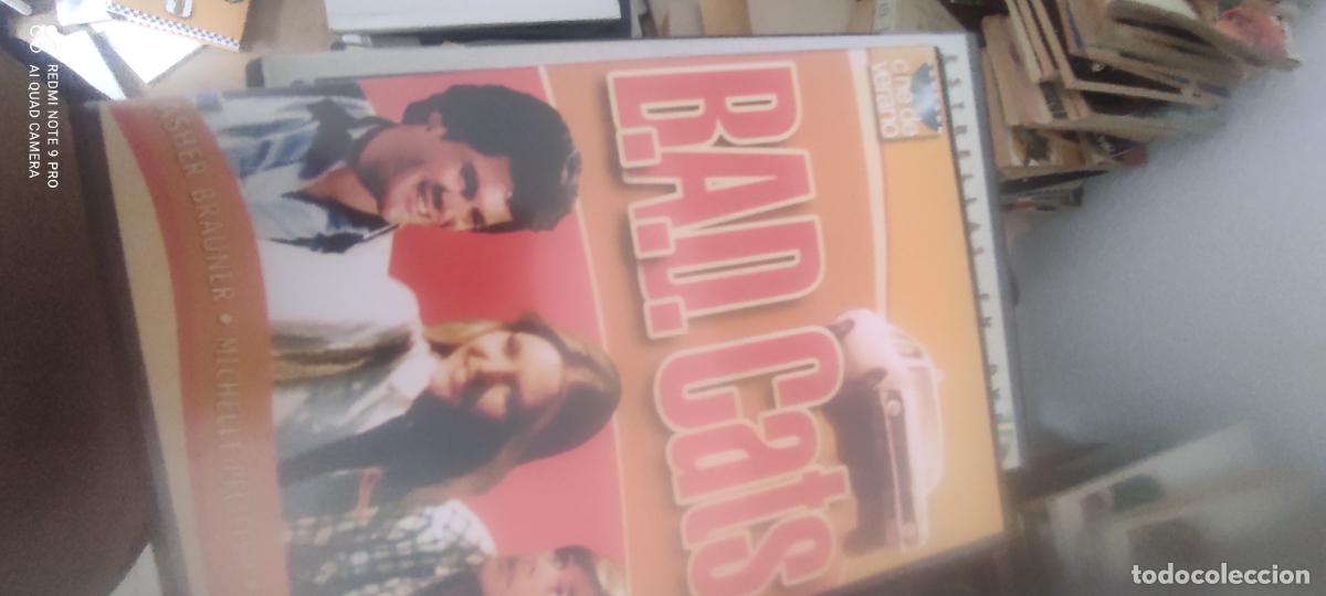 Kino: BAD Cats. Pel&iacute;cula/ DVD.