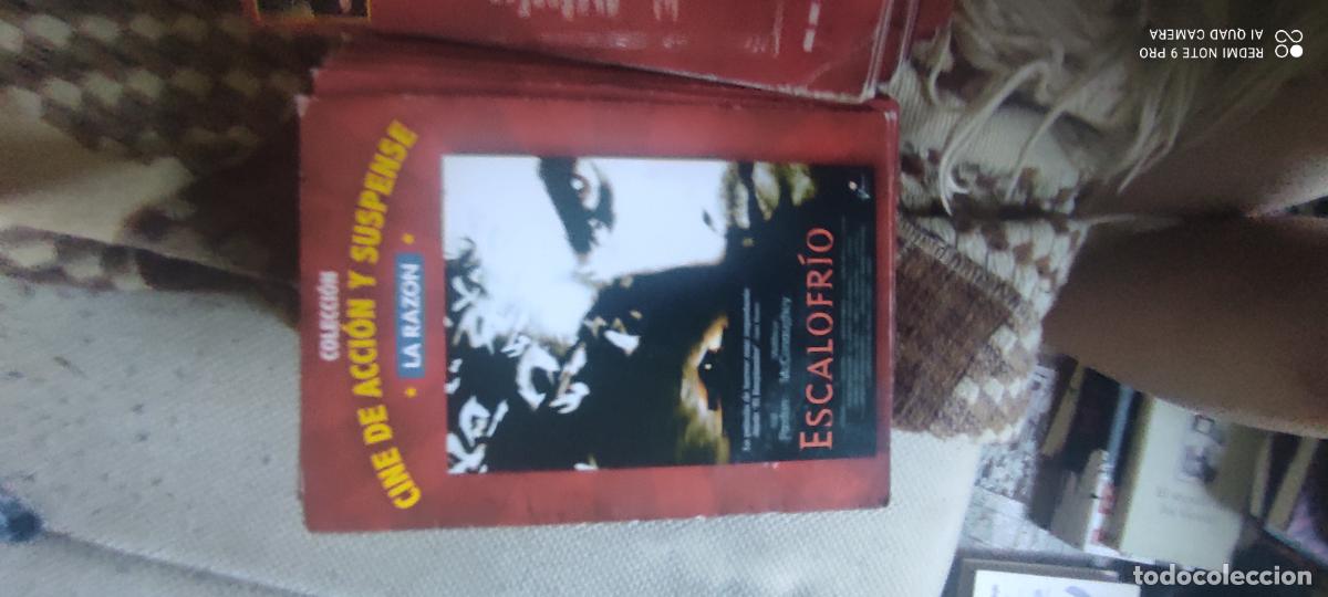 Cine: Escalofr&iacute;o. La Raz&oacute;n. Pel&iacute;cula/ DVD.