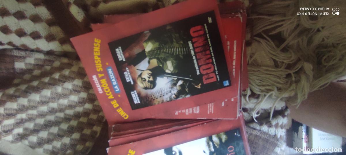 Cine: Domino. La Raz&oacute;n. Pel&iacute;cula/ DVD.