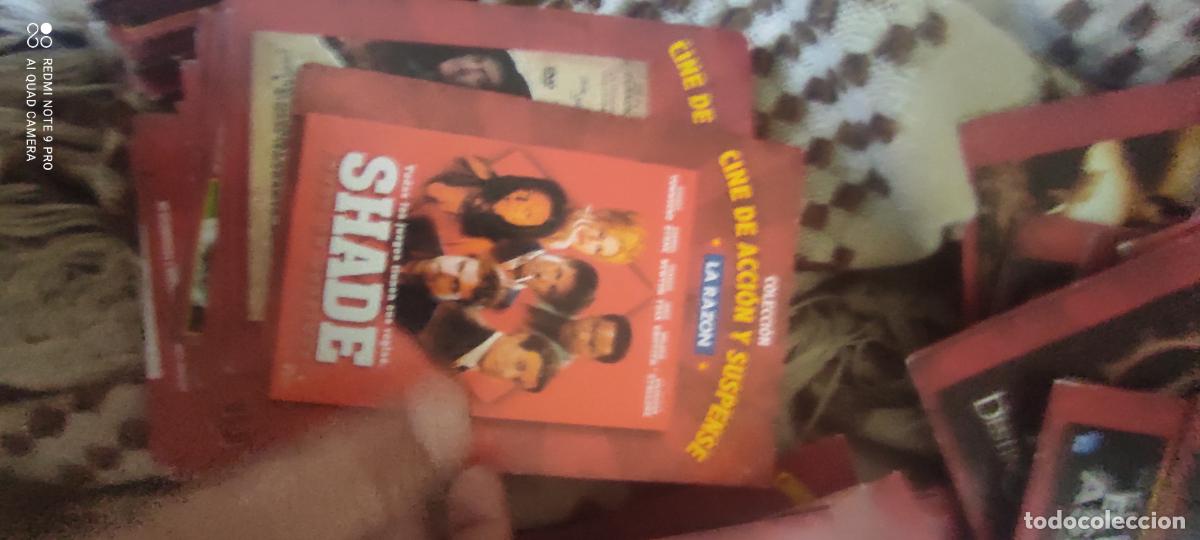 Cine: Shade. La Raz&oacute;n. Pel&iacute;cula/ DVD.