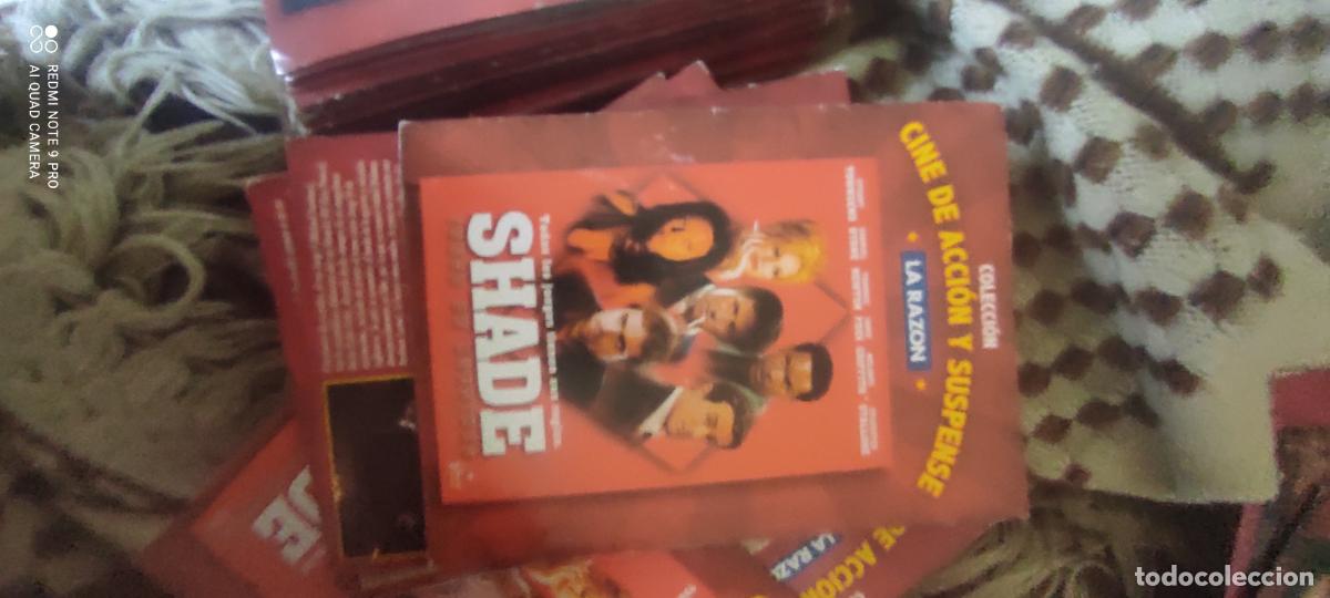 Cine: Shade. La Raz&oacute;n. Pel&iacute;cula/ DVD.