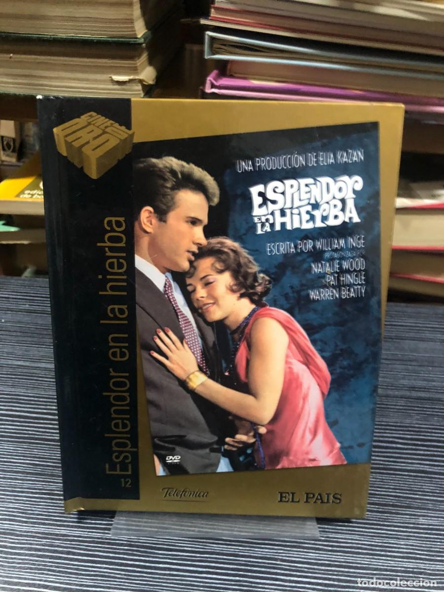Cine: Esplendor en la hierba (Splendor in the Grass, 1961)