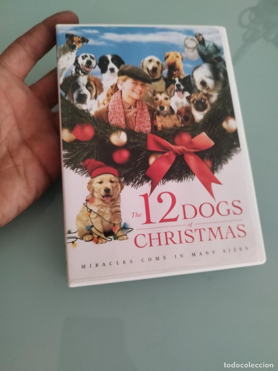 Cine: The 12 Dogs Of Christmas (DVD, 2005). Edici&oacute;n extranjera.
