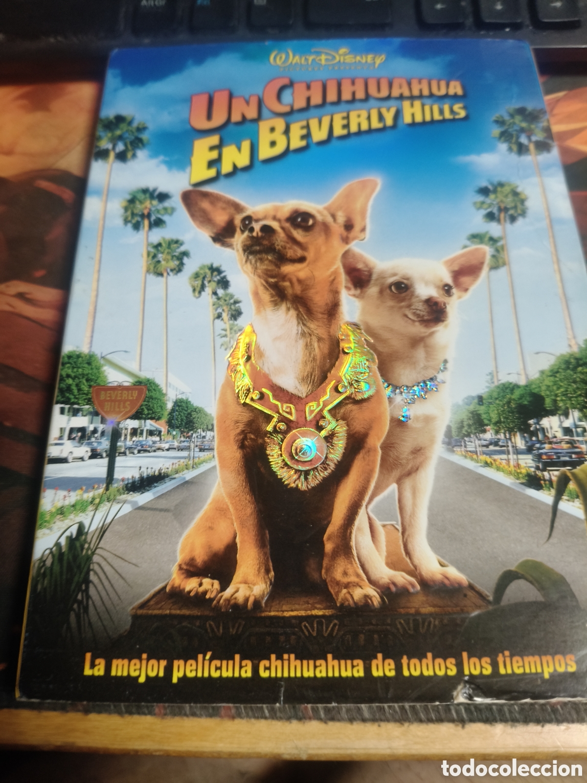 Cine: Un chihuahua en Beverly Hills DVD - 228