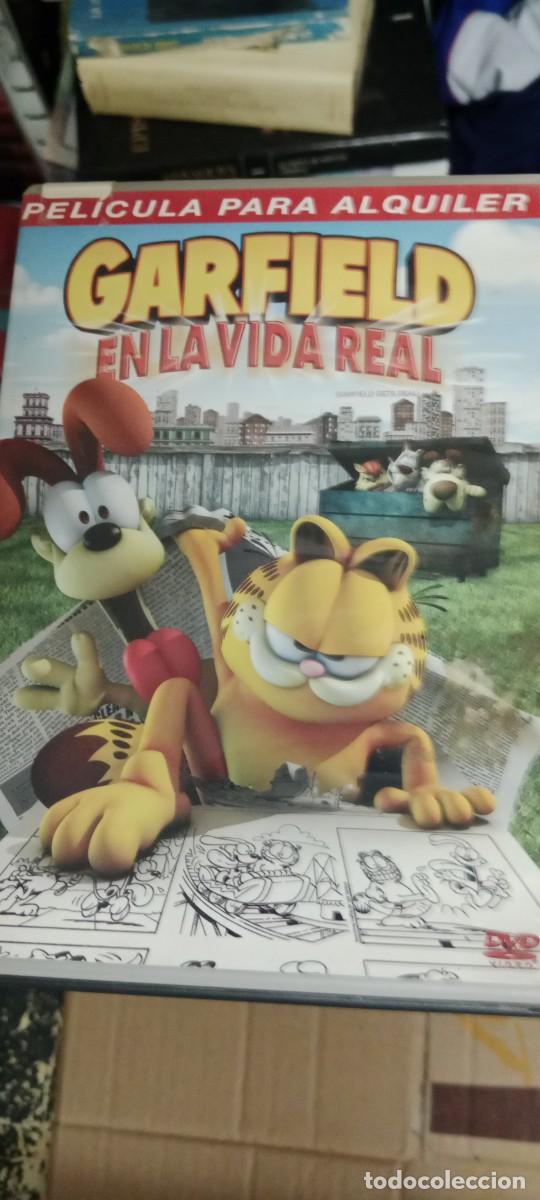 Cine: GARFIELD EN LA VIDA REAL DVD CINE MM-PLG