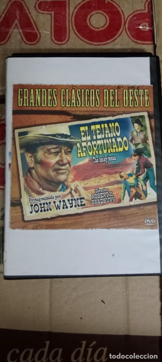 Cine: EL VERANO AFORTUNADO DVD CINE L-HC