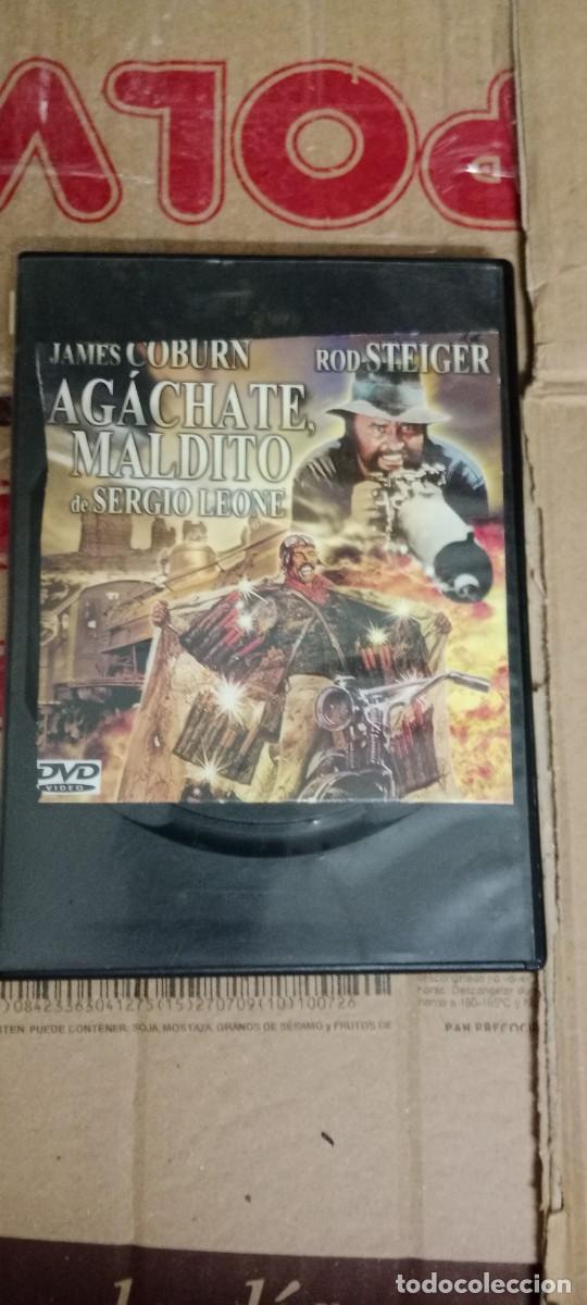 Cine: AGACHATE MALDITO DVD CINE L-HC