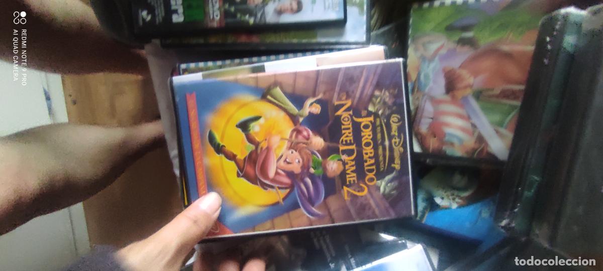 Cine: El jorobado de Notre Dame 2. Pel&iacute;cula/ DVD.