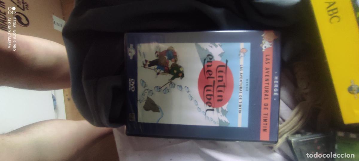 Cinema: Tintin en el tibet. Pel&iacute;cula/ DVD.