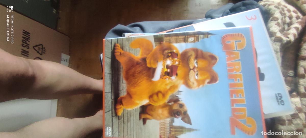 Cinema: Garfield 2. Pel&iacute;cula/ DVD.