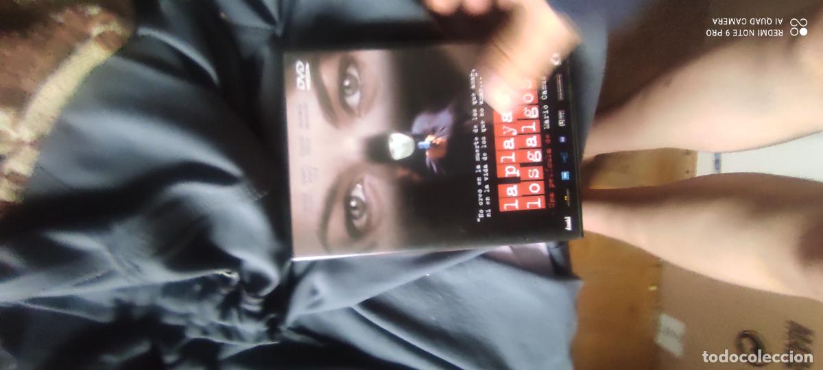Cine: La playa de los galgos. Pel&iacute;cula/ DVD.