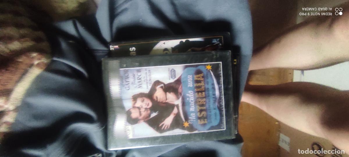 Cine: Ha nacido una estrella. Pel&iacute;cula/ DVD.