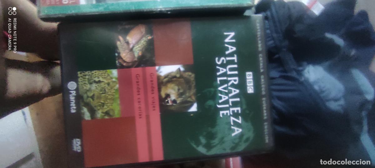 Cine: Naturaleza salvaje. Pel&iacute;cula/ DVD.