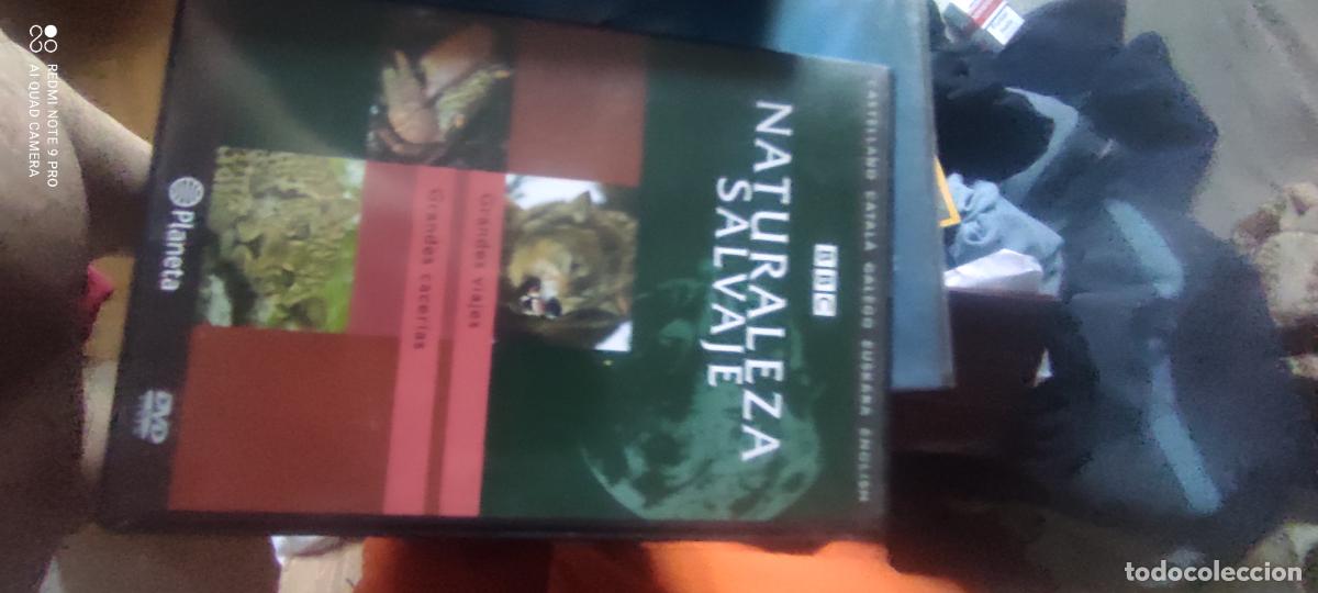 Cine: Naturaleza salvaje. Pel&iacute;cula/ DVD.