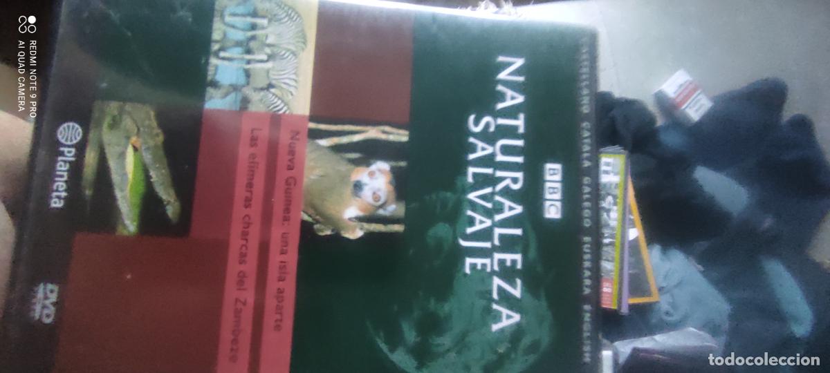 Cine: Naturaleza salvaje. Pel&iacute;cula/ DVD.