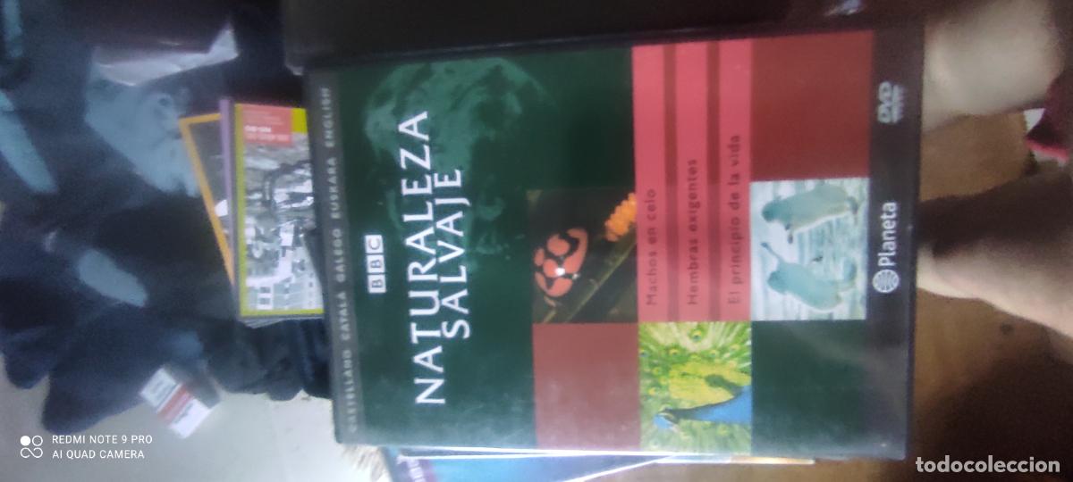 Cine: Naturaleza salvaje. Pel&iacute;cula/ DVD.
