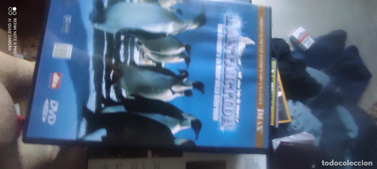 Cine: Imax. la Ant&aacute;rtida. Pel&iacute;cula/ DVD.