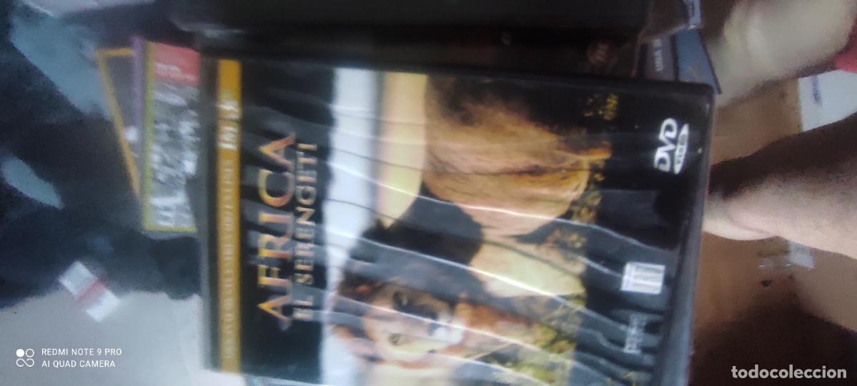 Cine: Africa. El Serengueti. Pel&iacute;cula/ DVD.