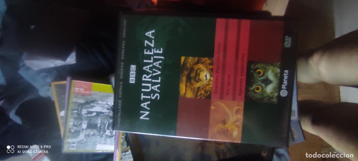 Cine: Naturaleza salvaje. Pel&iacute;cula/ DVD.
