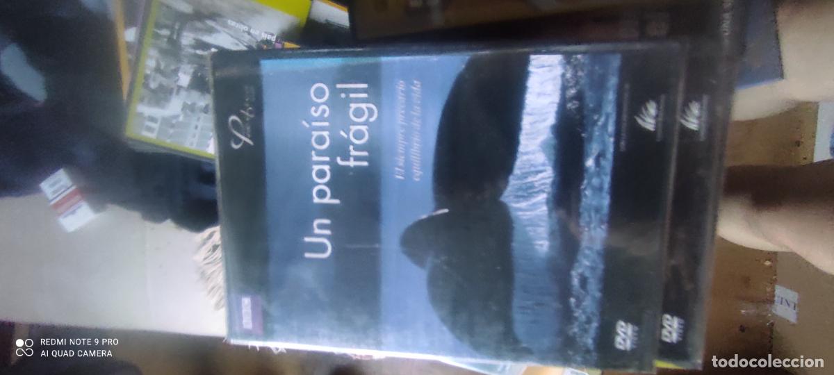Cine: Un para&iacute;so fr&aacute;gil. Pel&iacute;cula/ DVD.