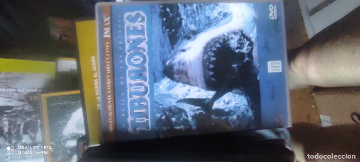 Cine: Imax. Tiburones. Pel&iacute;cula/ DVD.