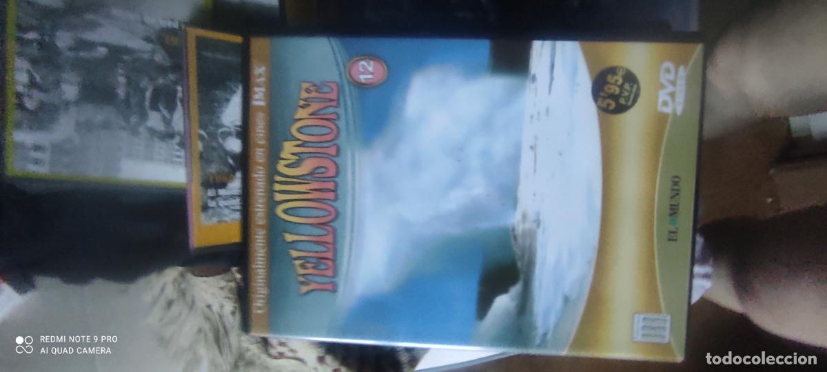 Cine: Imax. yellowstone. Pel&iacute;cula/ DVD.