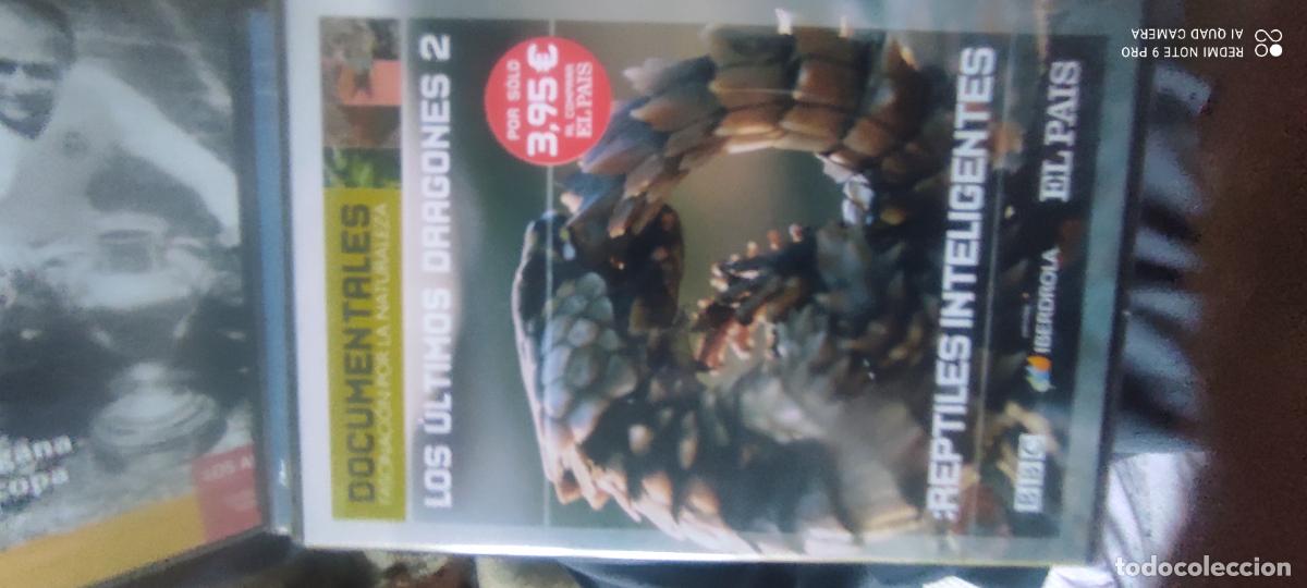 Cine: Los &uacute;ltimos dragones 2. Pel&iacute;cula/ DVD.