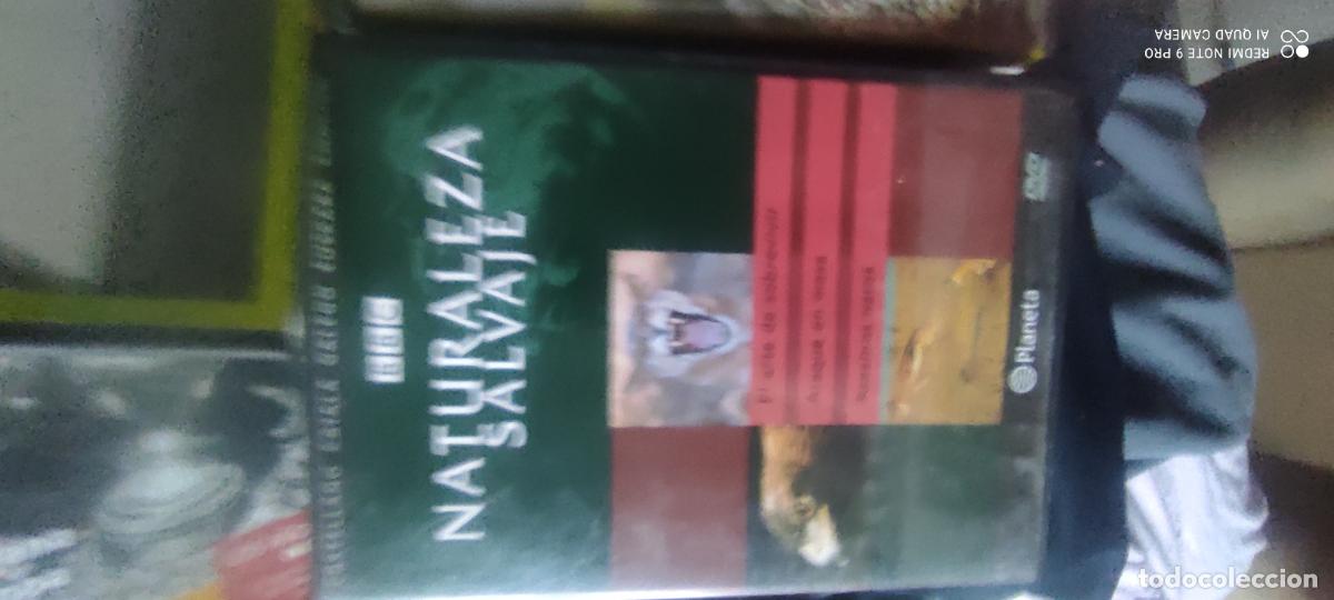 Cine: Naturaleza salvaje. Pel&iacute;cula/ DVD.