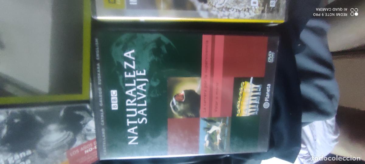 Cine: Naturaleza salvaje. Pel&iacute;cula/ DVD.