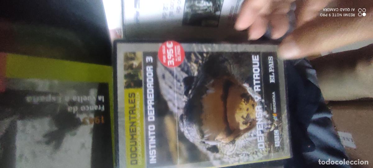 Cine: Instinto depredador 3. Pel&iacute;cula/ DVD.