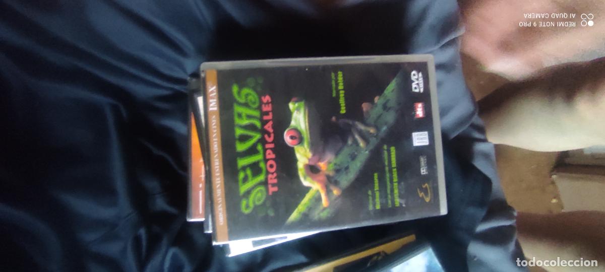 Cine: selvas tropicales. Pel&iacute;cula/ DVD.