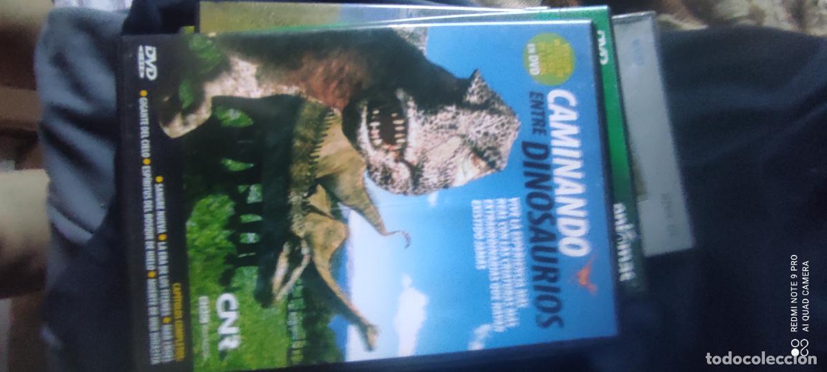 Cine: Caminando entre dinosaurios. Pel&iacute;cula/ DVD.