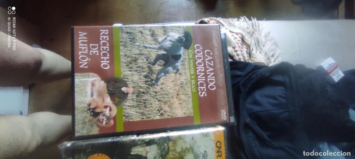 Cine: DVD CINE CAZANDO CODORNICES CON POINTER Y BRACO RECECHO DE MUFLON