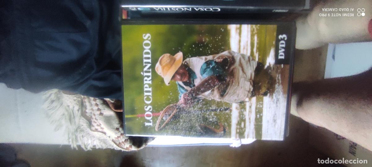 Cine: Los ciprinidos. Pel&iacute;cula/ DVD.