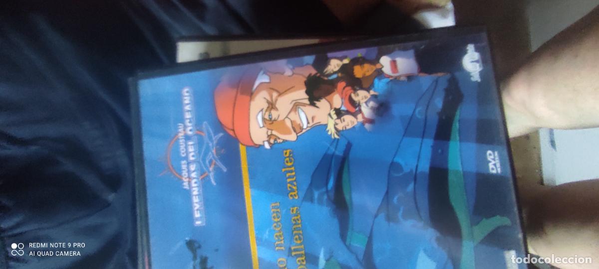 Cinema: Como nacen las ballenas az&uacute;les. Pel&iacute;cula/ DVD.