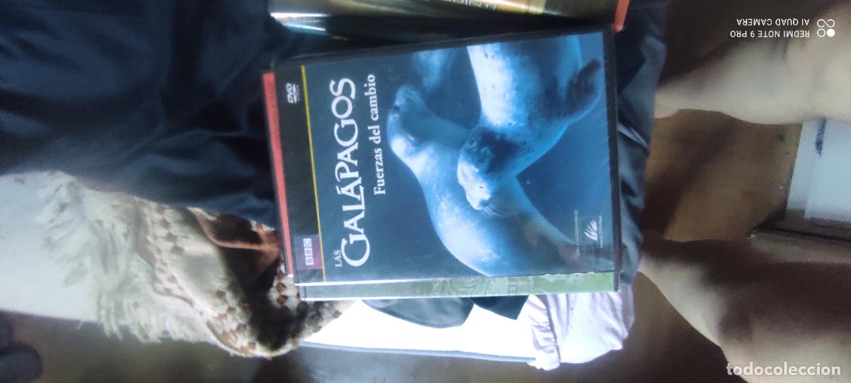 Cine: Gal&aacute;pagos. Fuerzas del cambio. Pel&iacute;cula/ DVD.