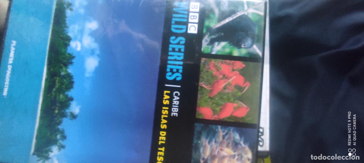Cine: wild Series. Caribe. las islas del Tesoro. Pel&iacute;cula/ DVD.