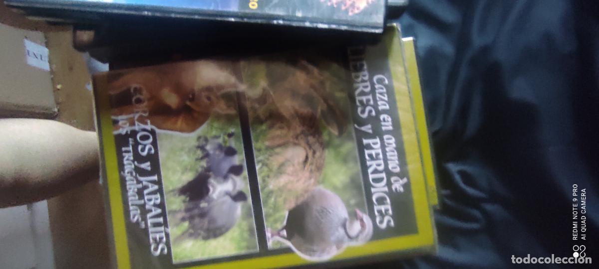 Cine: Caza en mano de liebres y perdices. Pel&iacute;cula/ DVD.
