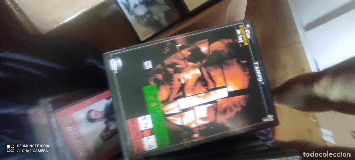 Cine: Traici&oacute;n en la Mafia. Pel&iacute;cula/ DVD.