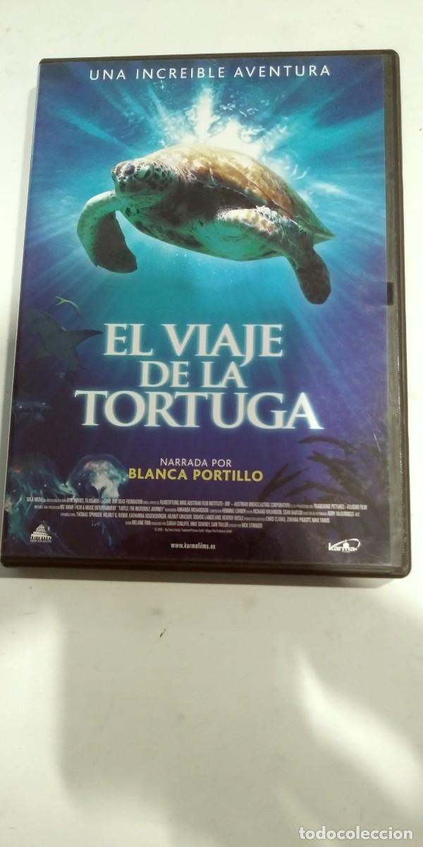 Cine: El viaje de la tortuga Nick Stringer