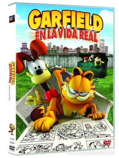 Cine: Garfield en la Vida Real- 8420266934178