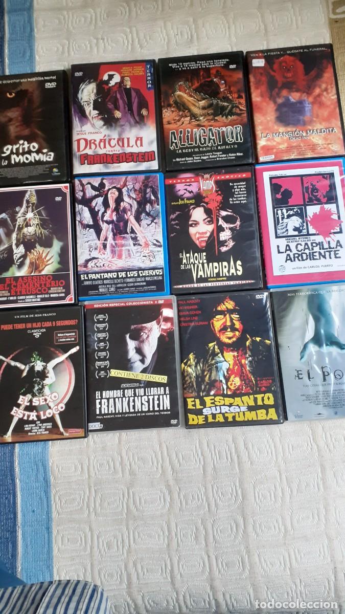 Cine: Lote 12 dvd&acute;s de terror (Jes&uacute;s Franco, Paul Naschy, terror japon&eacute;s, etc) Ver descripci&oacute;n y fotos
