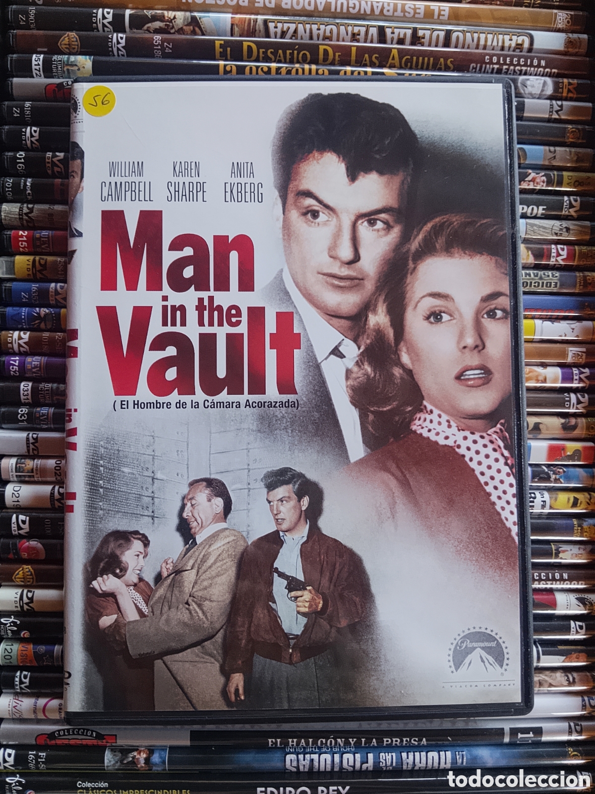 Cine: DVD Man in The Vault (el hombre de la c&aacute;mara acorazada)