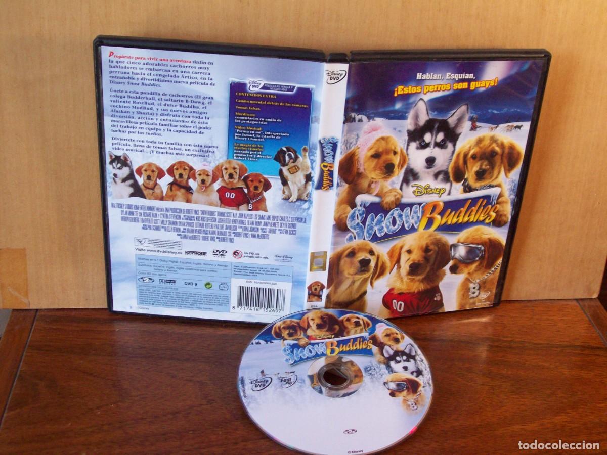 Cine: SNOW BUDDIES - DVD EDICION DISNEY