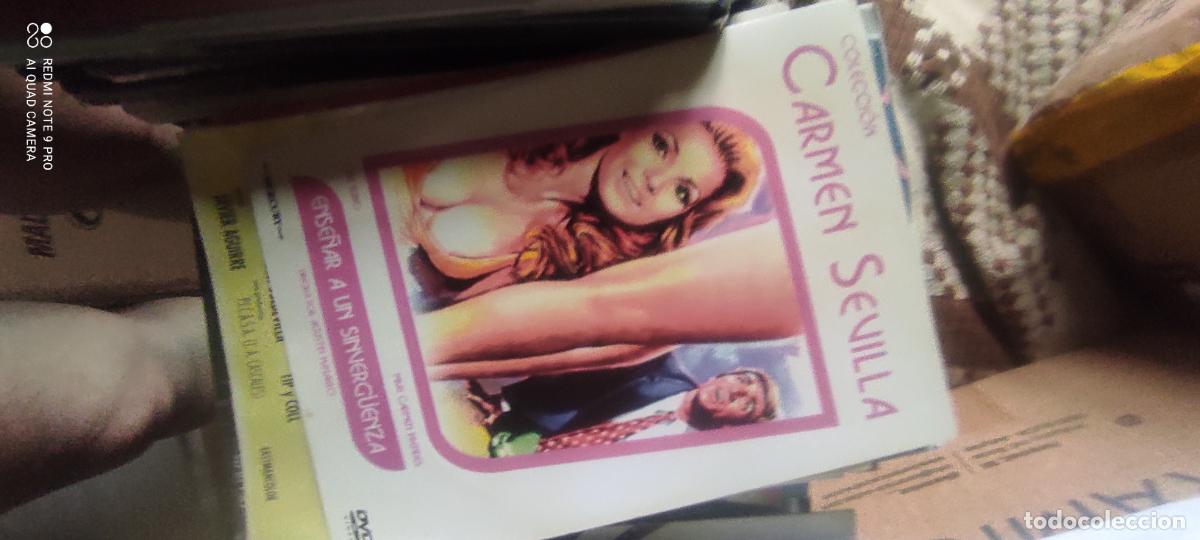 Cine: Ense&ntilde;ar a un sinverguenza. Pel&iacute;cula / DVD.
